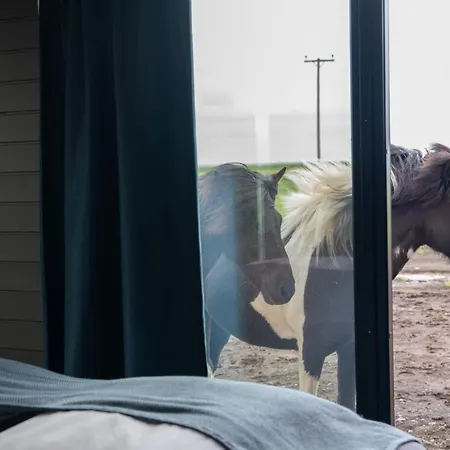 Sleeping With The Horses Apartment Hvolsvollur Exterior photo