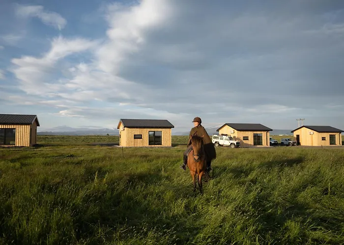 Sleeping With The Horses