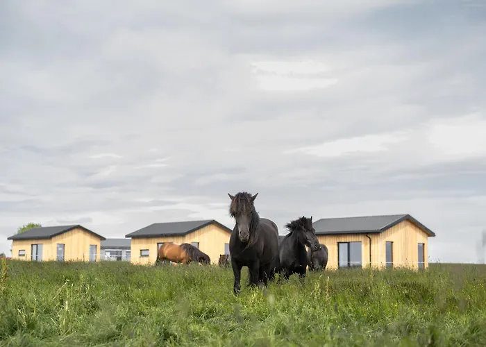 Sleeping With The Horses