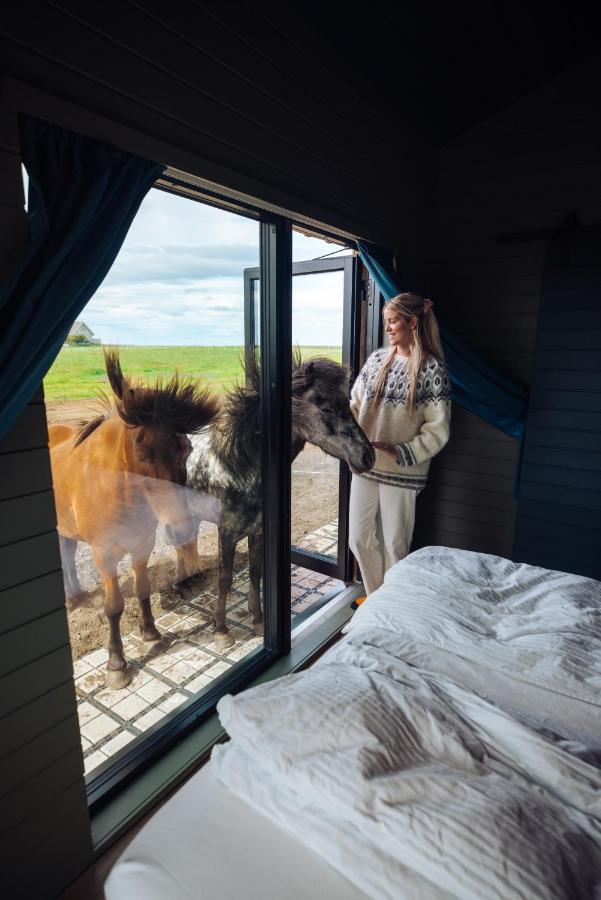 Apartment Sleeping With The Horses *