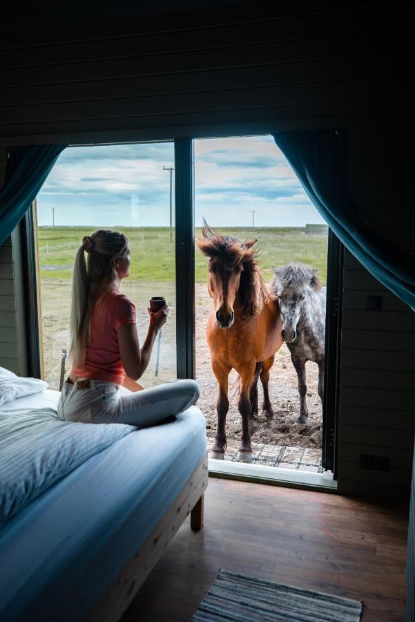 Sleeping With The Horses Apartment Hvolsvöllur