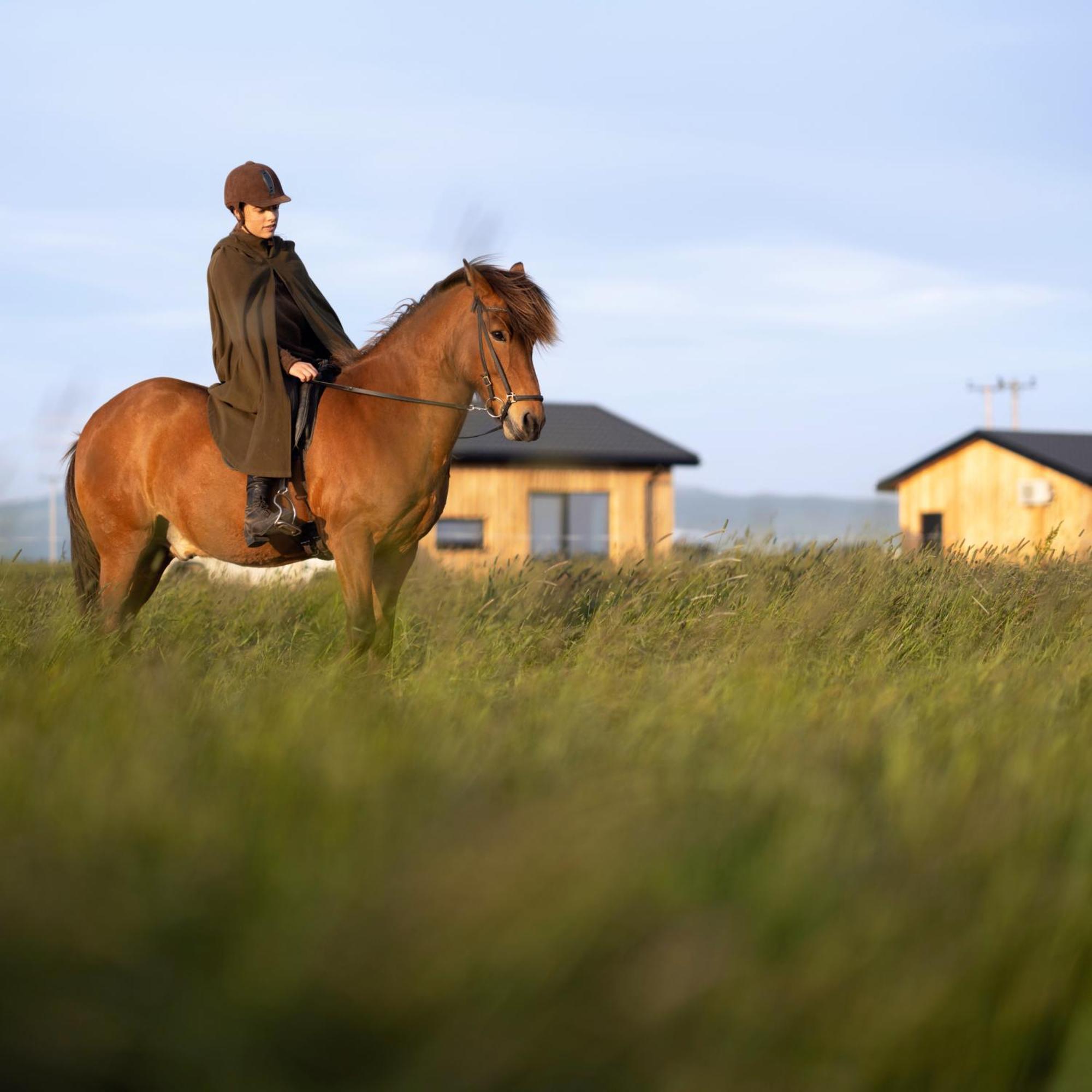 Sleeping With The Horses Hvolsvöllur