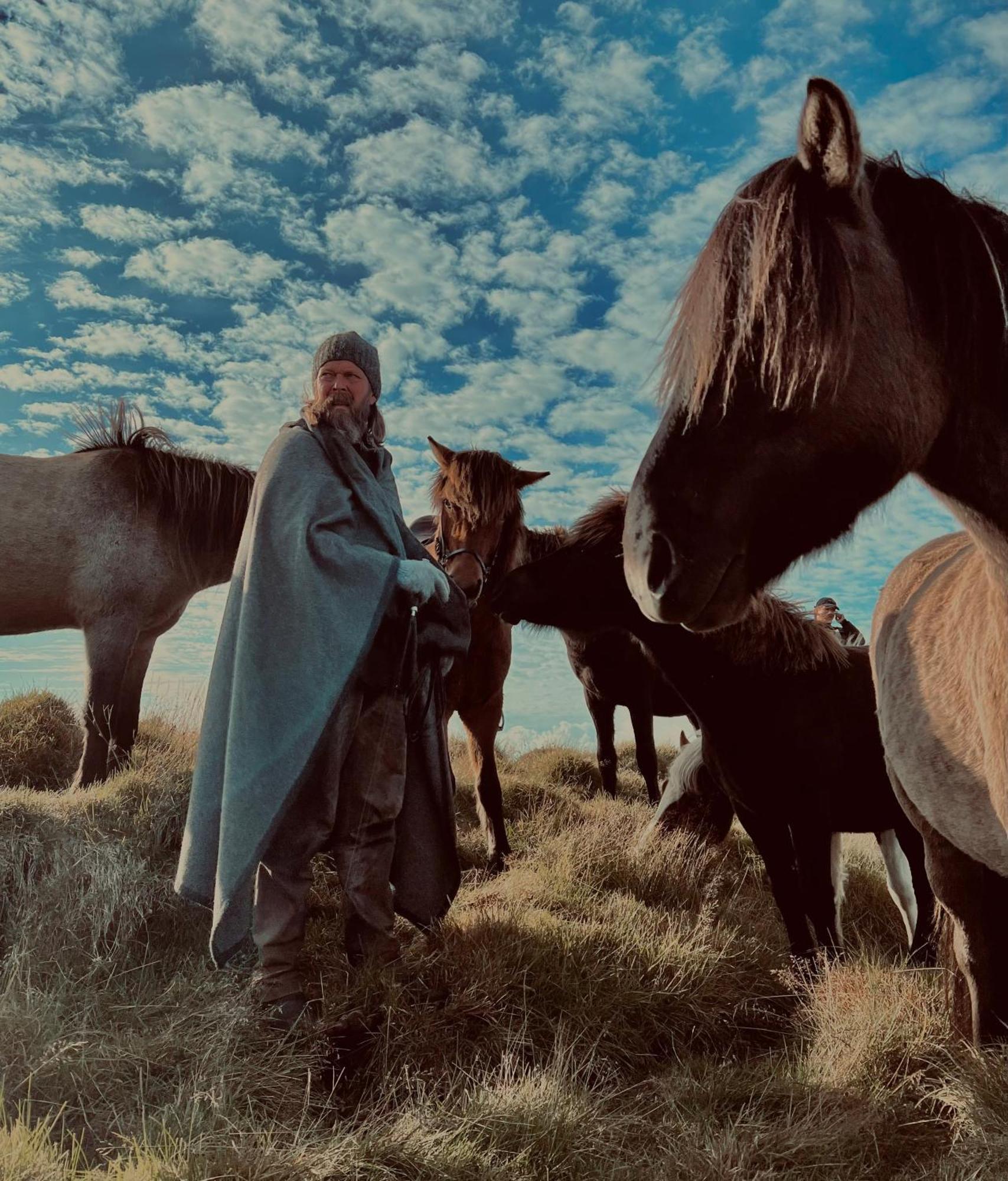 Sleeping With The Horses *